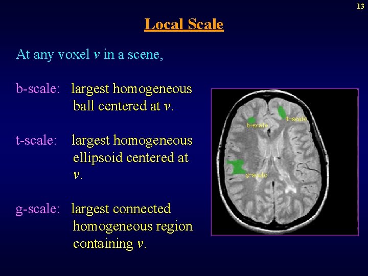13 Local Scale At any voxel v in a scene, b-scale: largest homogeneous ball