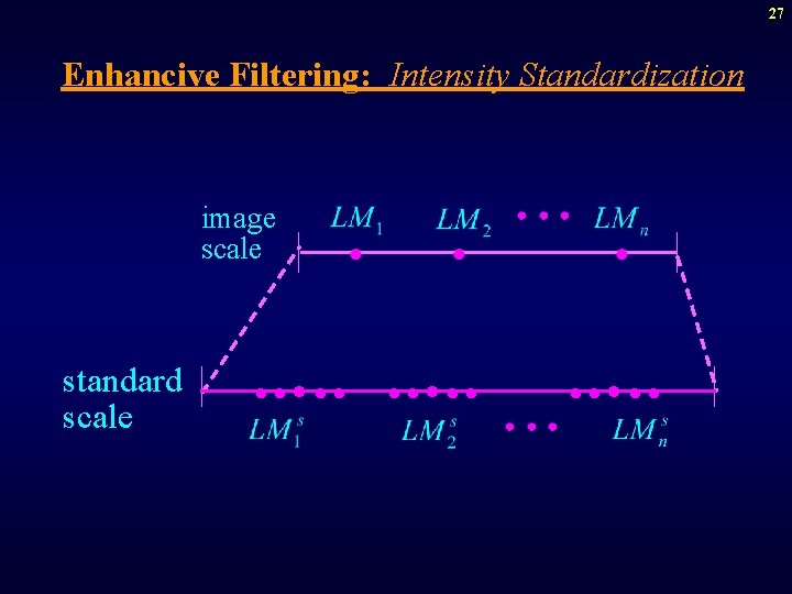 27 Enhancive Filtering: Intensity Standardization image scale standard scale ····· 