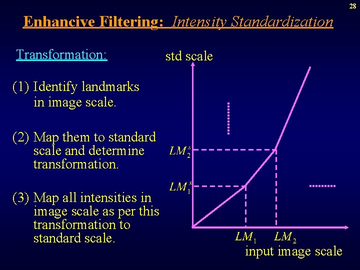 28 Enhancive Filtering: Intensity Standardization Transformation: std scale (1) Identify landmarks in image scale.