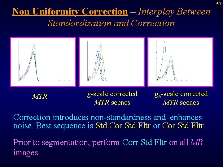 Non Uniformity Correction – Interplay Between Standardization and Correction MTR g-scale corrected MTR scenes