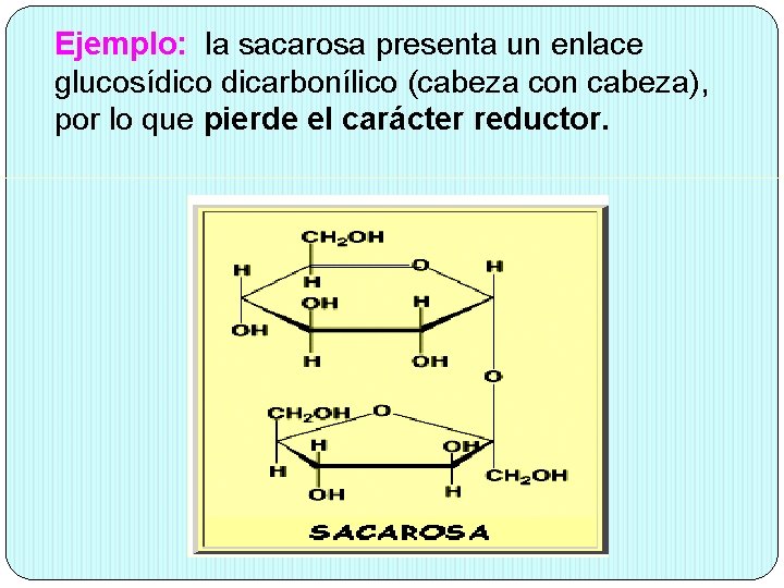 Ejemplo: la sacarosa presenta un enlace glucosídico dicarbonílico (cabeza con cabeza), por lo que