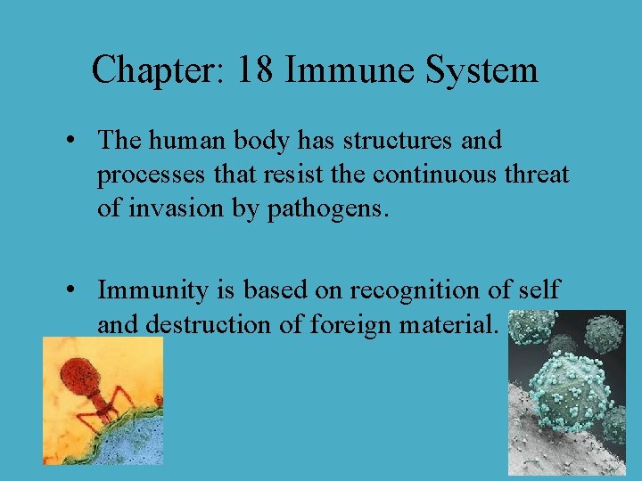 Chapter: 18 Immune System • The human body has structures and processes that resist