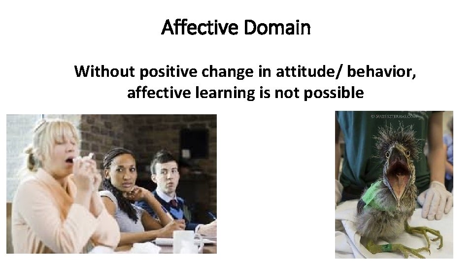 Affective Domain Without positive change in attitude/ behavior, affective learning is not possible 