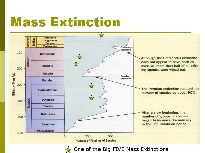 Mass Extinction One of the Big FIVE Mass Extinctions 