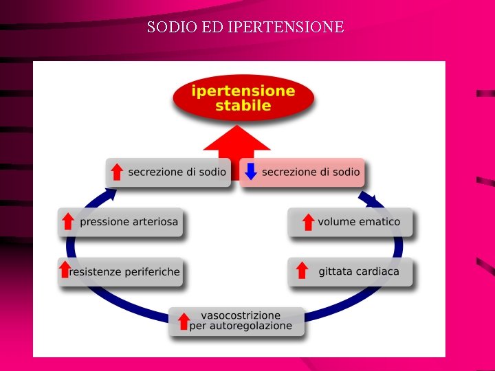 SODIO ED IPERTENSIONE 