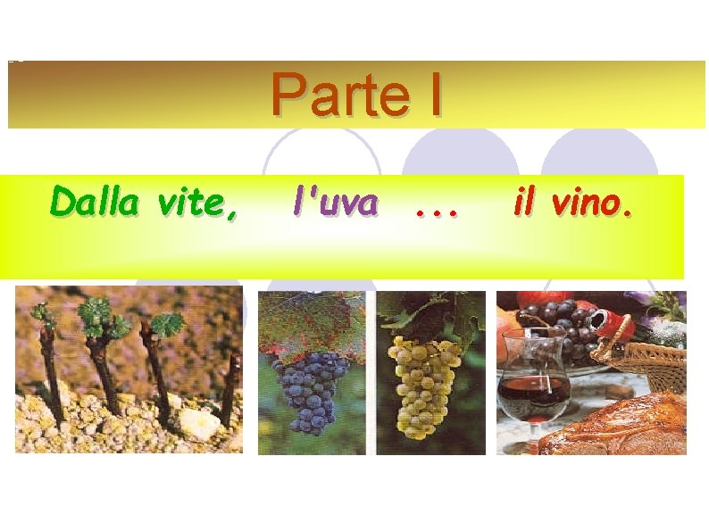 Parte I Dalla vite, l'uva. . . il vino. 