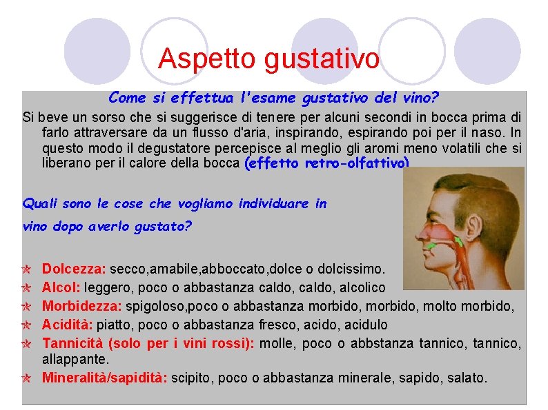 Aspetto gustativo Come si effettua l'esame gustativo del vino? Si beve un sorso che