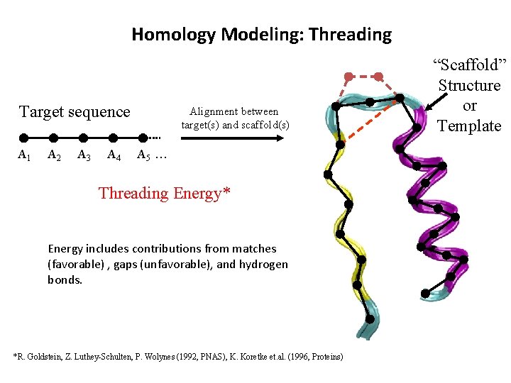 Homology Modeling: Threading Target sequence A 1 A 2 A 3 A 4 Alignment