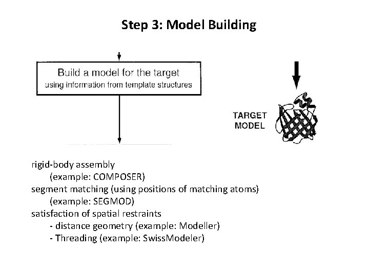 Step 3: Model Building rigid-body assembly (example: COMPOSER) segment matching (using positions of matching