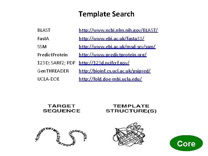 Template Search BLAST http: //www. ncbi. nlm. nih. gov/BLAST/ Fast. A http: //www. ebi.