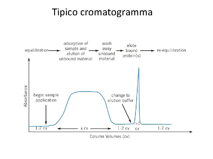 Tipico cromatogramma 