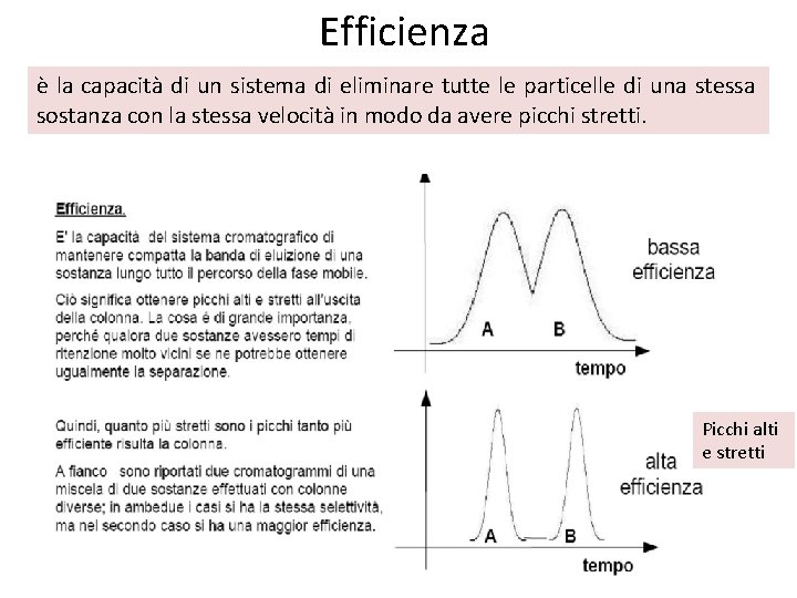 Efficienza è la capacità di un sistema di eliminare tutte le particelle di una