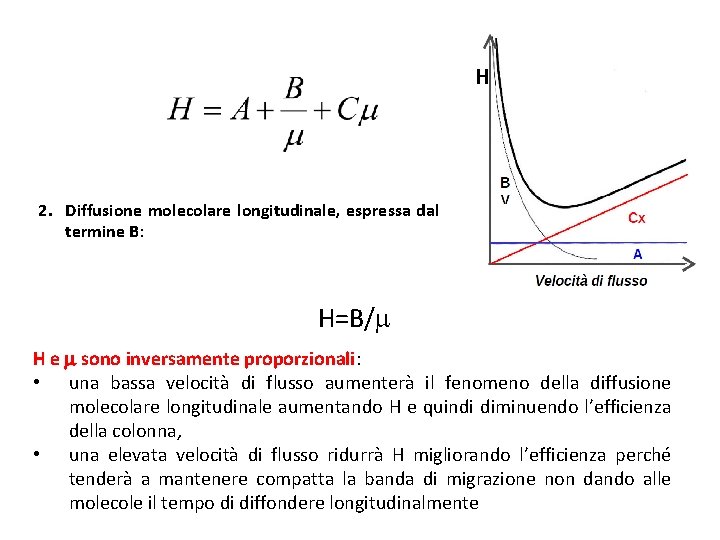 H 2. Diffusione molecolare longitudinale, espressa dal termine B: H=B/m H e m sono