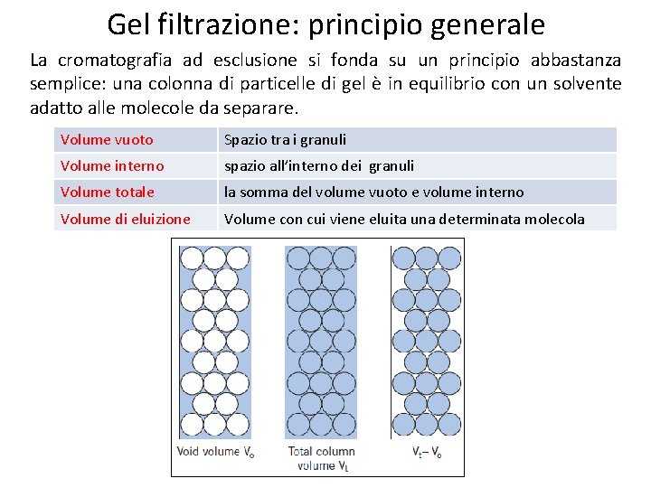 Gel filtrazione: principio generale La cromatografia ad esclusione si fonda su un principio abbastanza