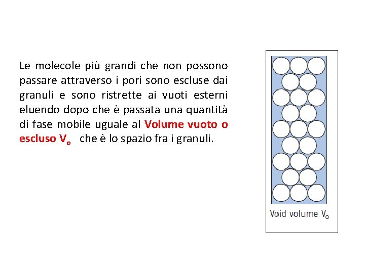 Le molecole più grandi che non possono passare attraverso i pori sono escluse dai