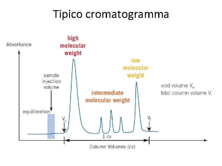 Tipico cromatogramma 