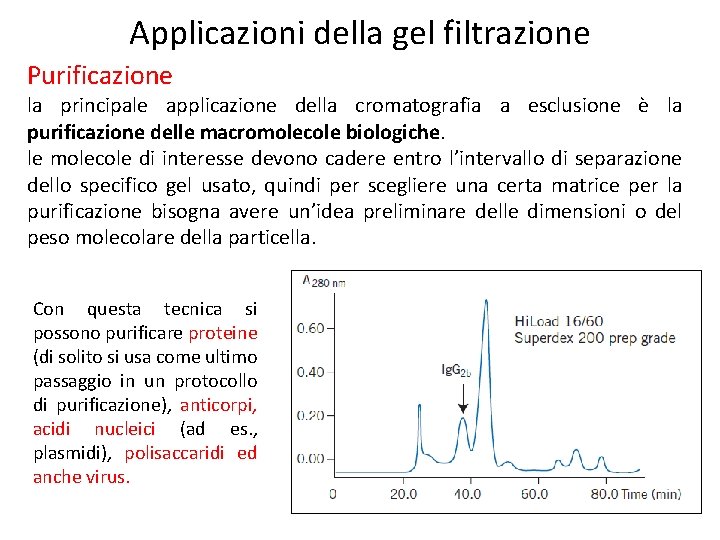 Applicazioni della gel filtrazione Purificazione la principale applicazione della cromatografia a esclusione è la