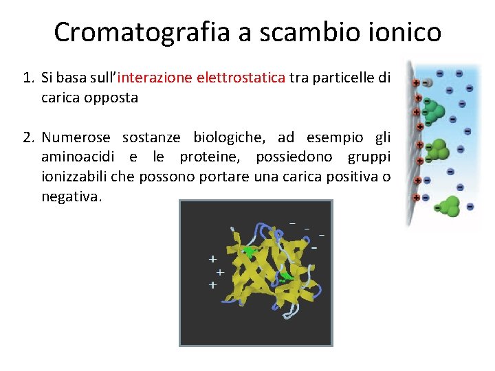 Cromatografia a scambio ionico 1. Si basa sull’interazione elettrostatica tra particelle di carica opposta