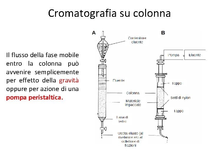 Cromatografia su colonna Il flusso della fase mobile entro la colonna può avvenire semplicemente