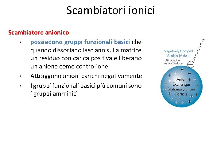 Scambiatori ionici Scambiatore anionico • possiedono gruppi funzionali basici che quando dissociano lasciano sulla