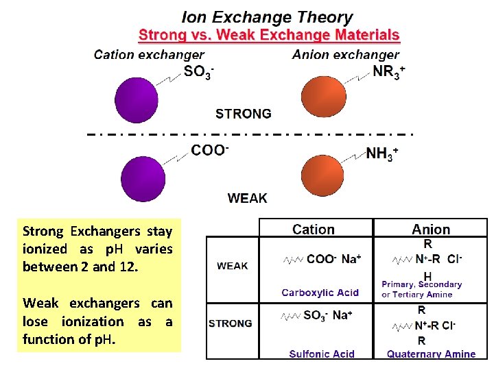 Strong Exchangers stay ionized as p. H varies between 2 and 12. Weak exchangers
