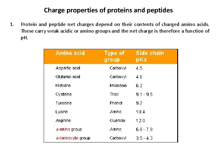 Charge properties of proteins and peptides 1. Protein and peptide net charges depend on