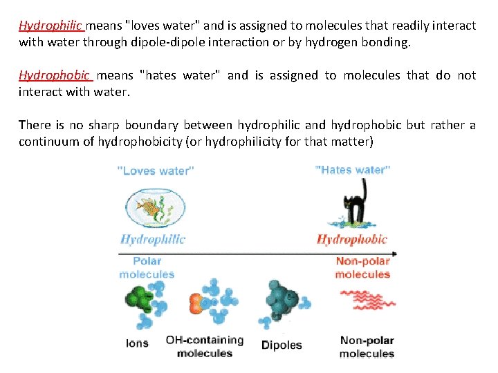 Hydrophilic means "loves water" and is assigned to molecules that readily interact with water