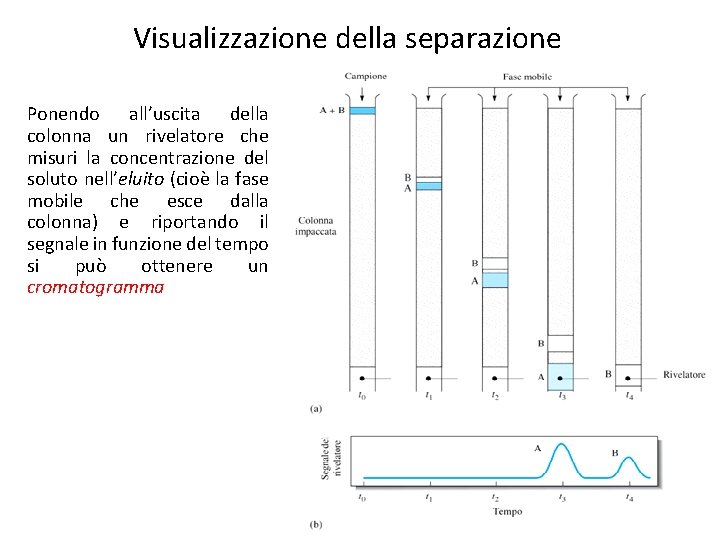 Visualizzazione della separazione Ponendo all’uscita della colonna un rivelatore che misuri la concentrazione del