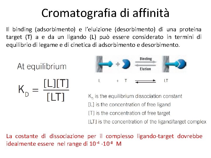 Cromatografia di affinità Il binding (adsorbimento) e l’eluizione (desorbimento) di una proteina target (T)