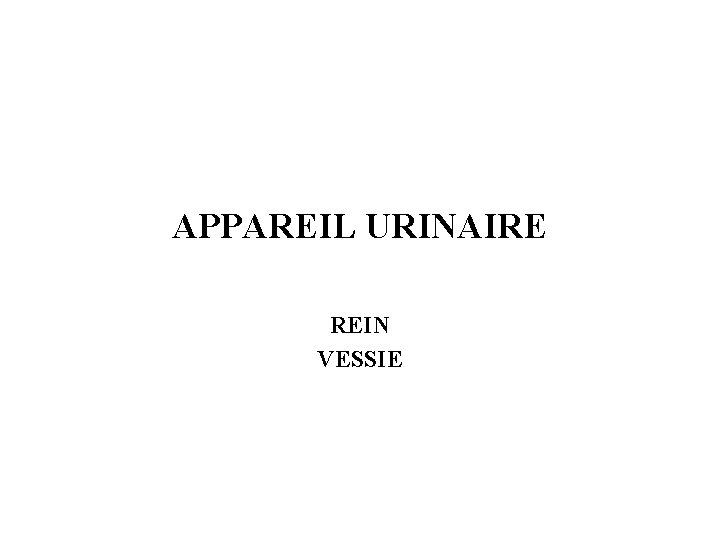 APPAREIL URINAIRE REIN VESSIE 