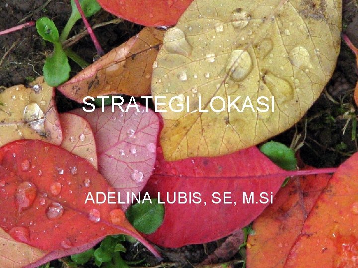 STRATEGI LOKASI ADELINA LUBIS, SE, M. Si 