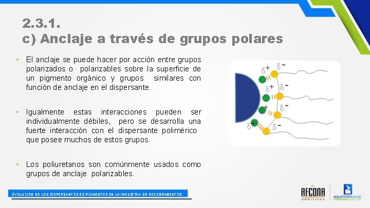 2. 3. 1. c) Anclaje a través de grupos polares • El anclaje se