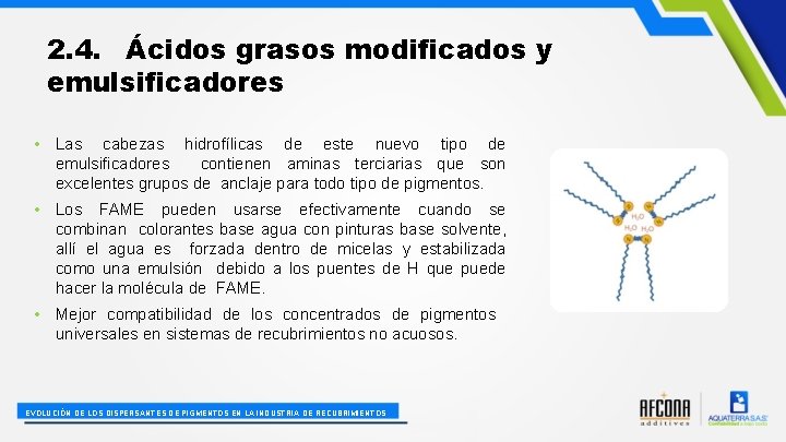 2. 4. Ácidos grasos modificados y emulsificadores • Las cabezas hidrofílicas de este nuevo