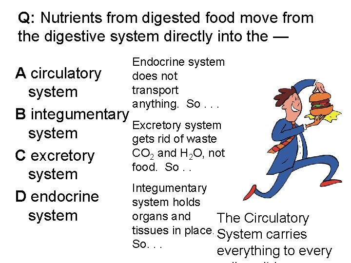 Q: Nutrients from digested food move from the digestive system directly into the —