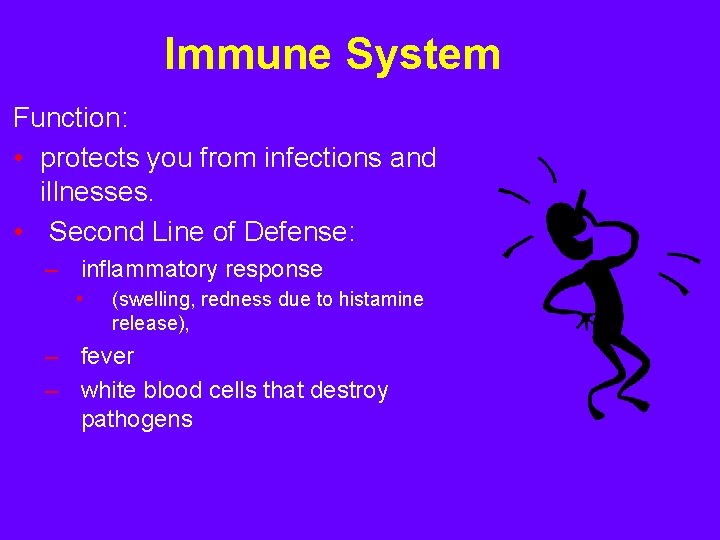 Immune System Function: • protects you from infections and illnesses. • Second Line of