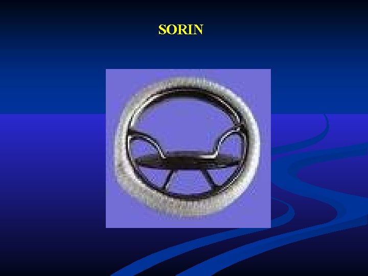 SORIN SORIN