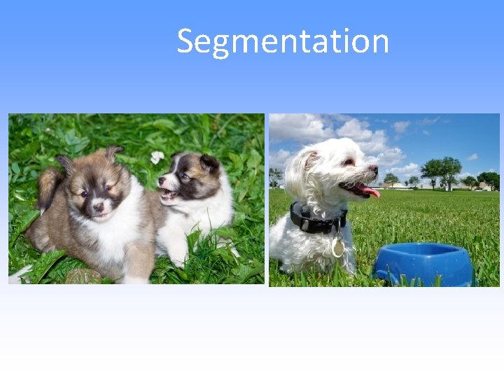 Segmentation 