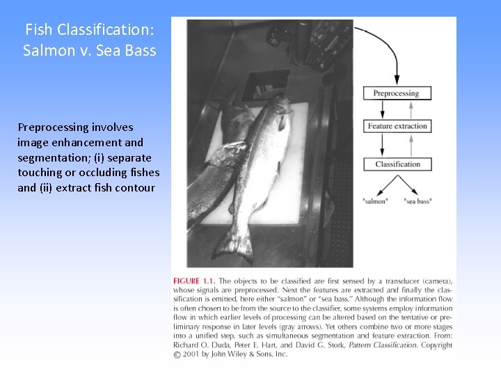 Fish Classification: Salmon v. Sea Bass Preprocessing involves image enhancement and segmentation; (i) separate