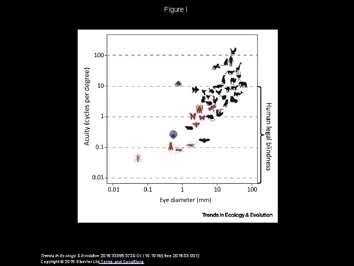Figure I Trends in Ecology & Evolution 2018 33358 -372 DOI: (10. 1016/j. tree.