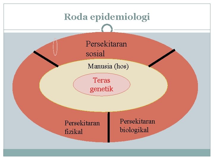 Roda epidemiologi Persekitaran sosial Manusia (hos) Teras genetik Persekitaran fizikal Persekitaran biologikal 