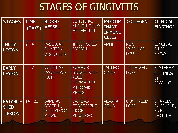 STAGES OF GINGIVITIS STAGES TIME BLOOD (DAYS) VESSEL JUNCTINAL PREDOM AND SULCULAR INANT EPITHELIUM