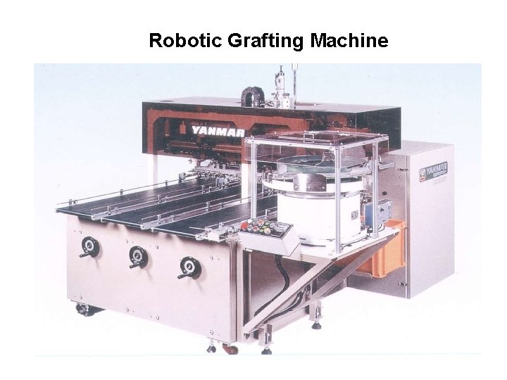 Robotic Grafting Machine 