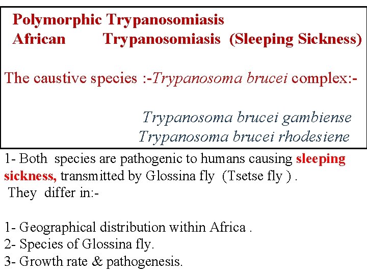 Polymorphic Trypanosomiasis African Trypanosomiasis (Sleeping Sickness) The caustive species : -Trypanosoma brucei complex: Trypanosoma