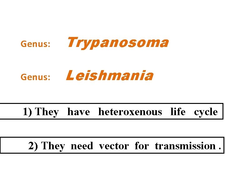 Genus: Trypanosoma Genus: Leishmania 1) They have heteroxenous life cycle 2) They need vector