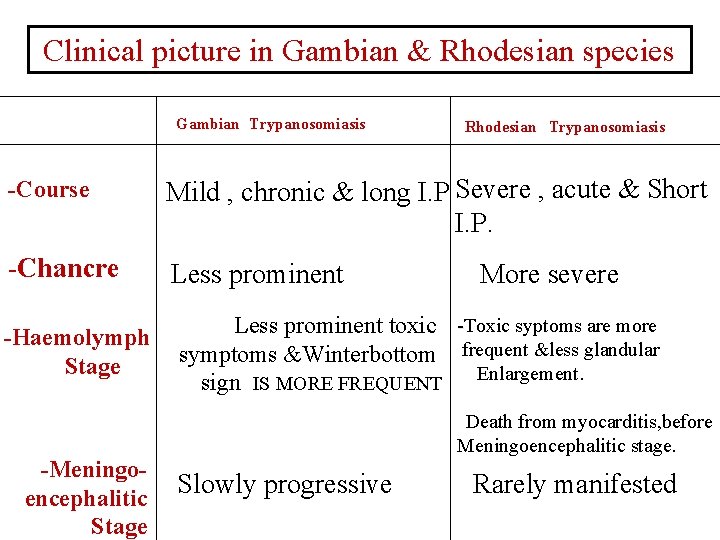 Clinical picture in Gambian & Rhodesian species Gambian Trypanosomiasis Rhodesian Trypanosomiasis -Course Mild ,