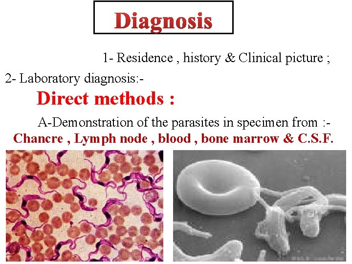 1 - Residence , history & Clinical picture ; 2 - Laboratory diagnosis: -