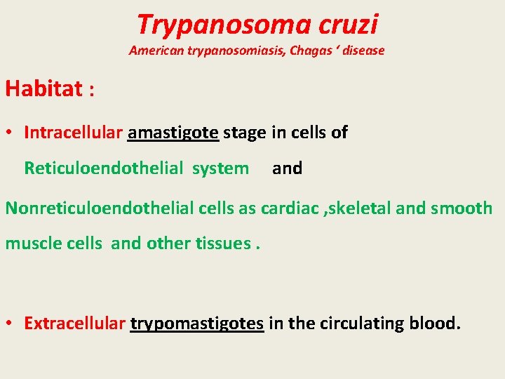 Trypanosoma cruzi American trypanosomiasis, Chagas ‘ disease Habitat : • Intracellular amastigote stage in
