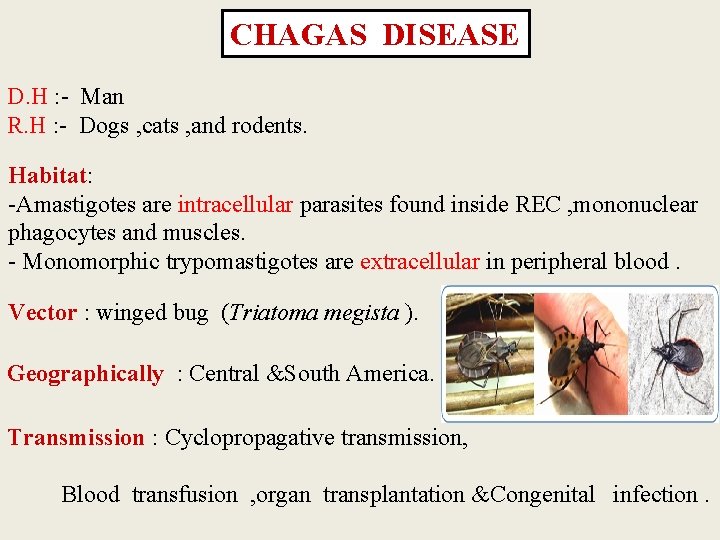 CHAGAS DISEASE D. H : - Man R. H : - Dogs , cats