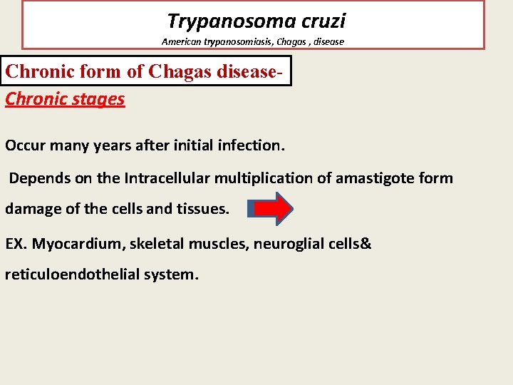 Trypanosoma cruzi American trypanosomiasis, Chagas , disease Chronic form of Chagas disease. Chronic stages