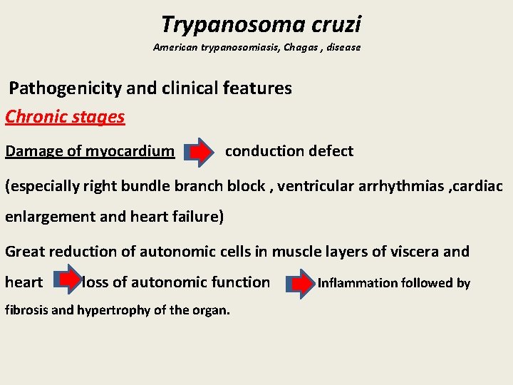 Trypanosoma cruzi American trypanosomiasis, Chagas , disease Pathogenicity and clinical features Chronic stages Damage